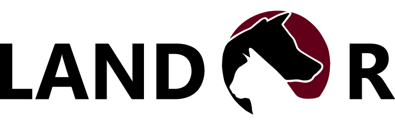 Logo Landor