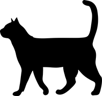 Cat Black