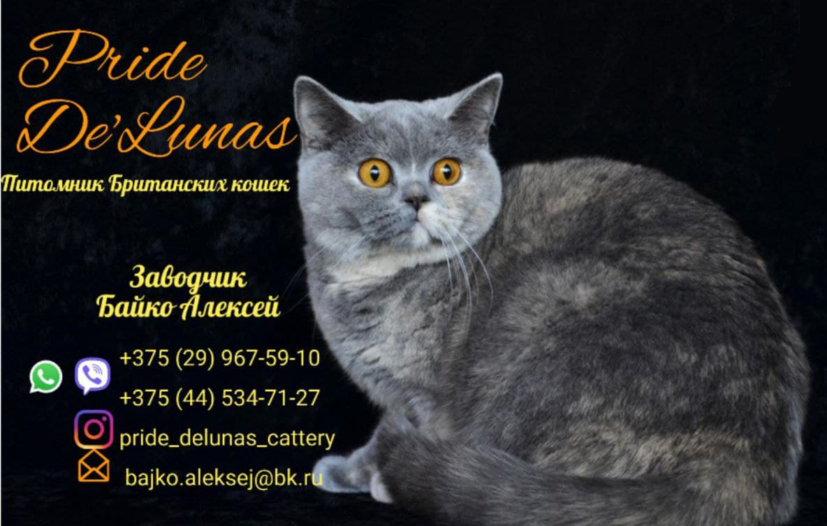 Pride De'Lunas